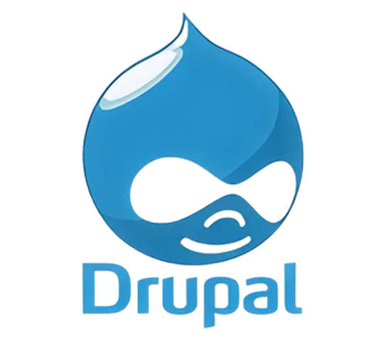 End-to-End Drupal Development and Maintenance Services