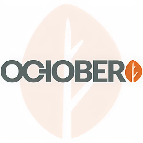 Expert OctoberCMS Development Services for Your Website Needs