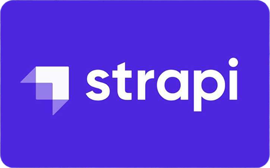 Expert Strapi Development Services for Scalable Solutions