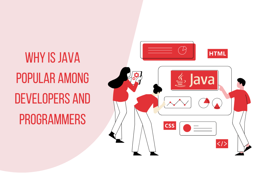 Why is Java popular among developers and programmers