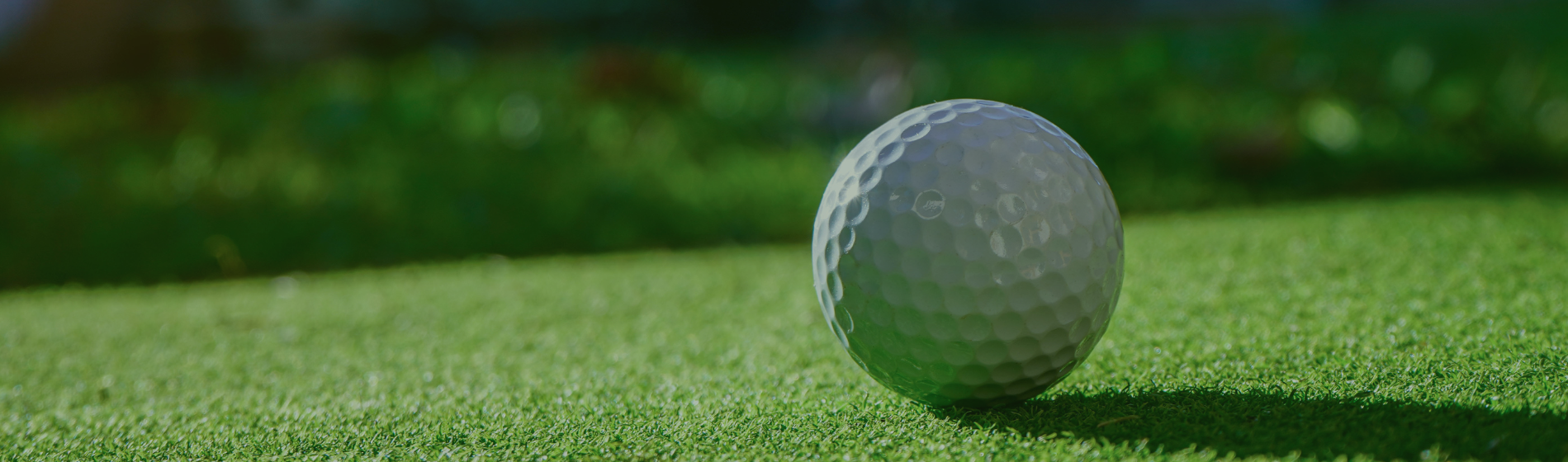 Virtual Golf Entertainment Platform — DriveShack