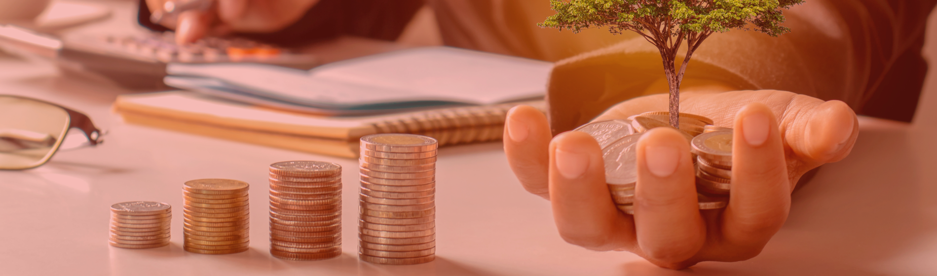 Full-Stack Financial Services Platform for Edelweiss