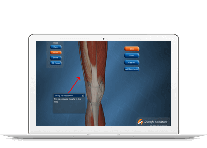 MEDICAL ANIMATION