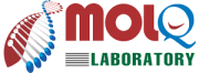 MOLQ logo