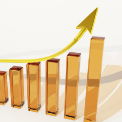 A mid-sized India based financial services company