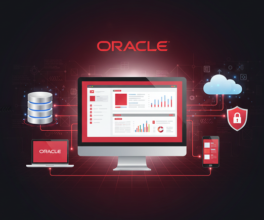 Expert Oracle Development Company